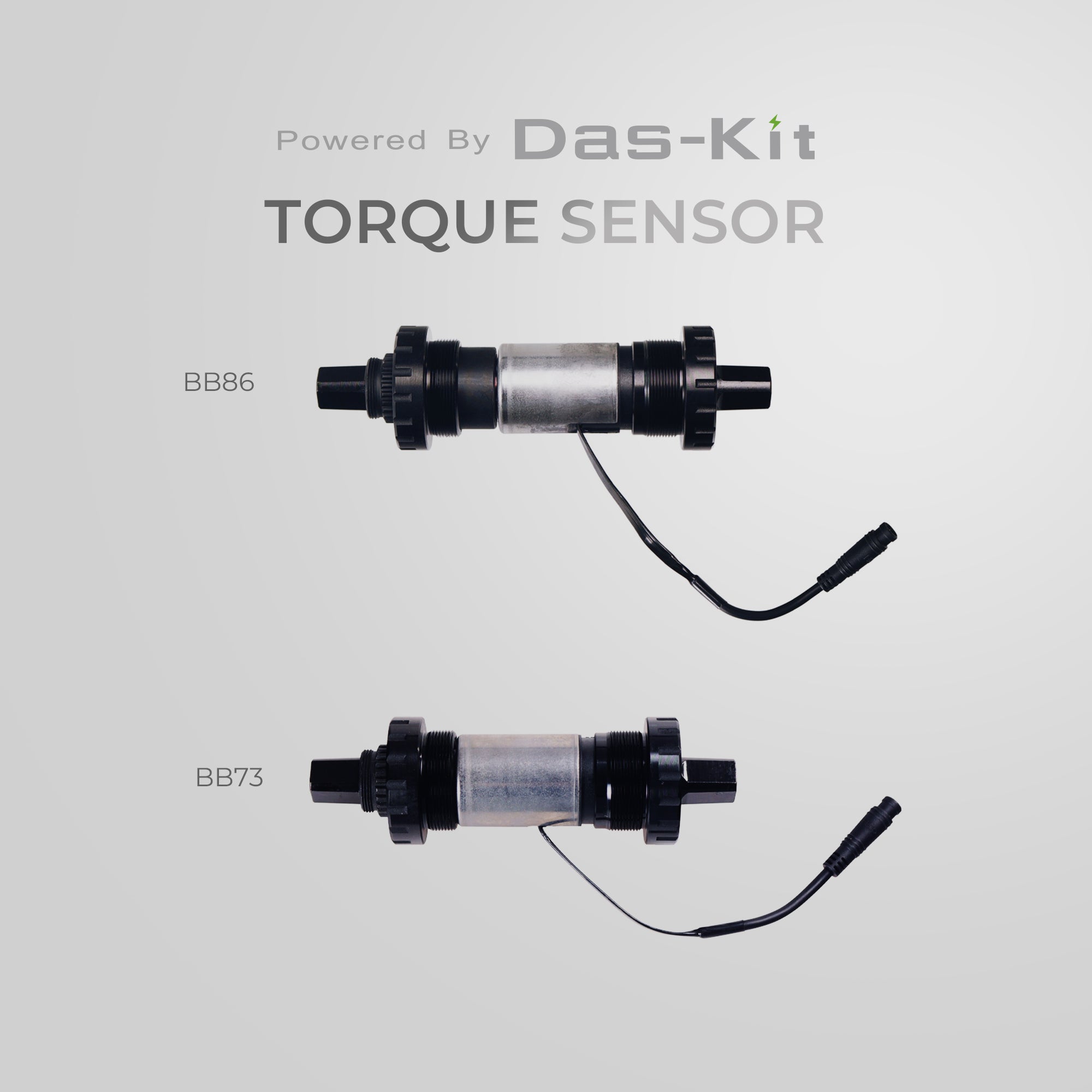 Torque sensor